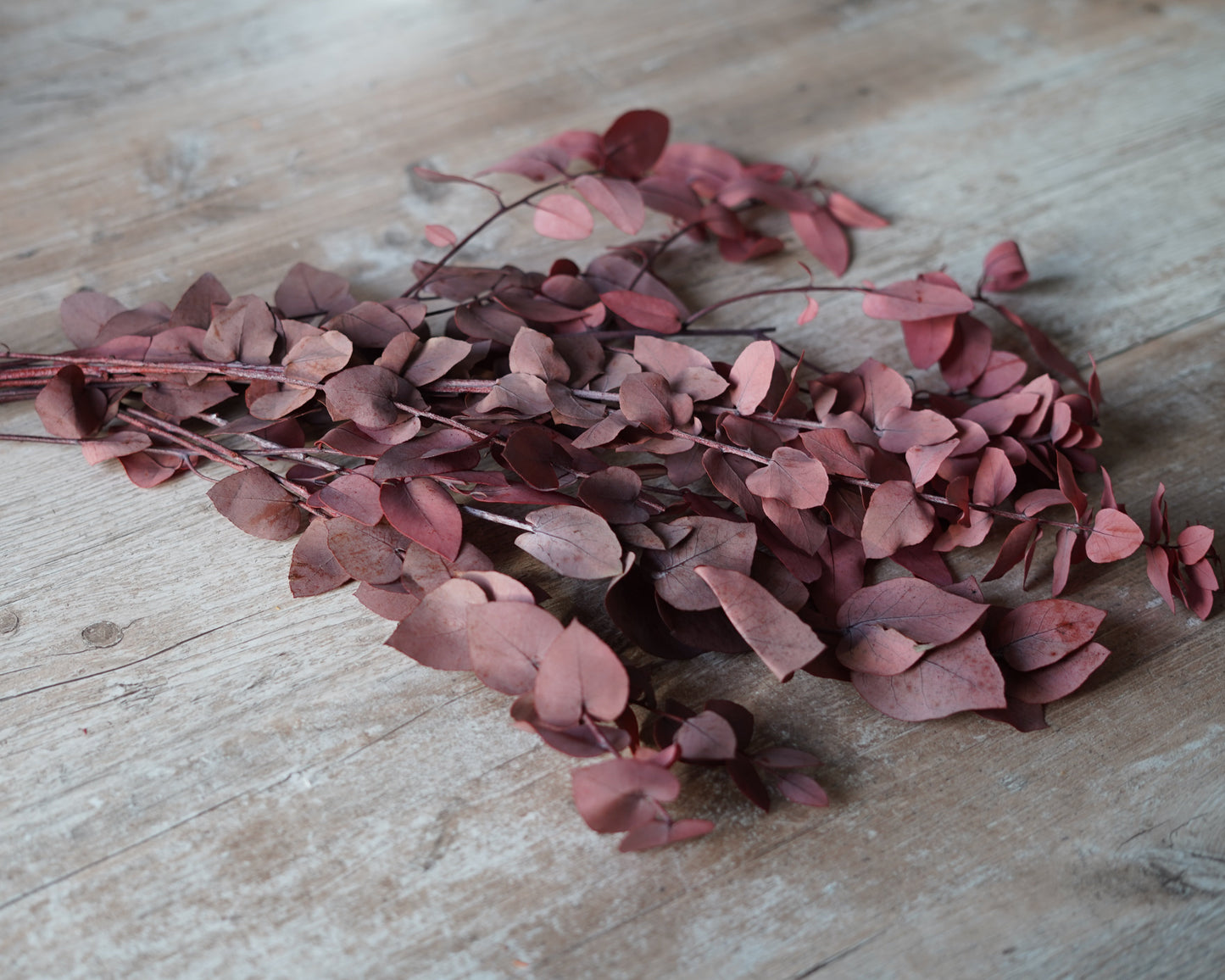 Konservierter Eukalyptus in Herbstfarben – Orange, Rot