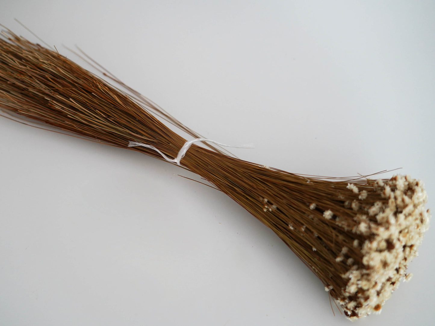 Trockenblumenstrauß Glixia "Gänseblümchen" natur - creme, beige