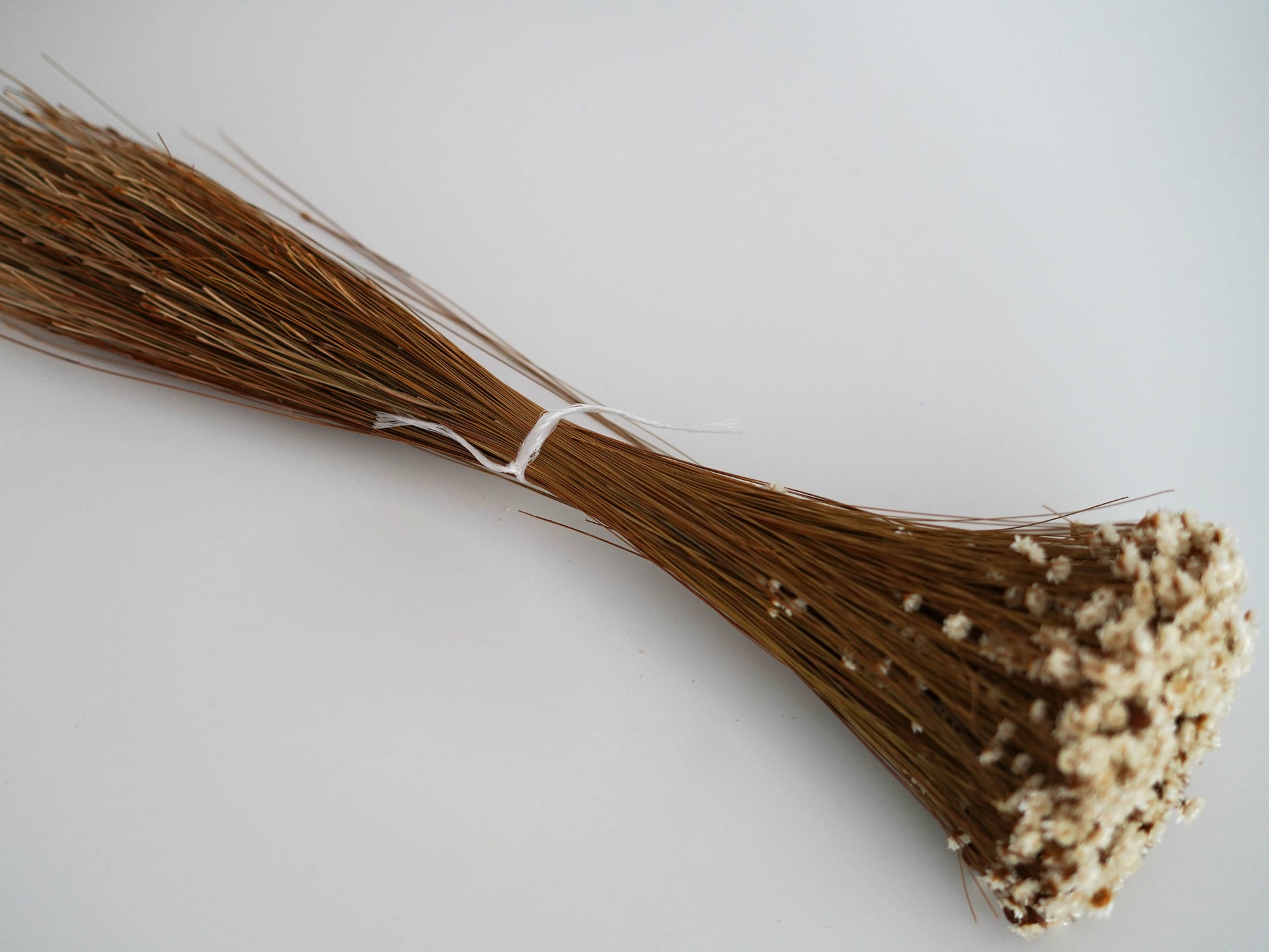 Trockenblumenstrauß Glixia "Gänseblümchen" natur - creme, beige