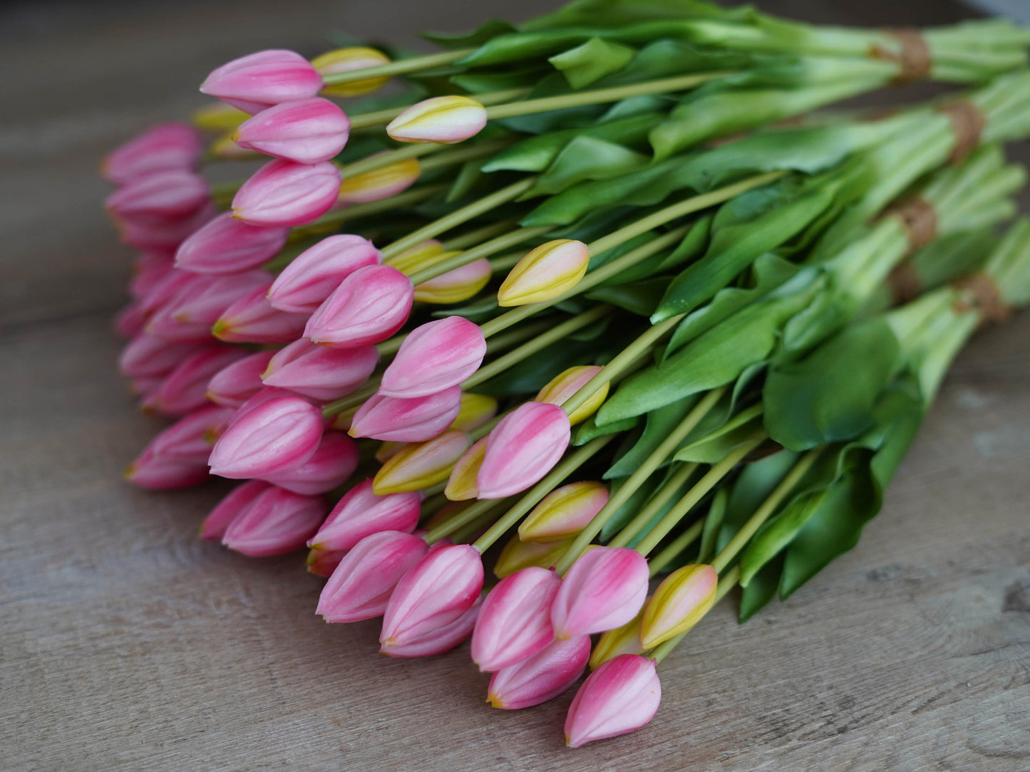 Detailaufnahme künstliche Tulpe rosa/pink – täuschend echt und hochwertig verarbeitet