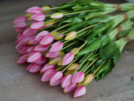 Detailaufnahme künstliche Tulpe rosa/pink – täuschend echt und hochwertig verarbeitet
