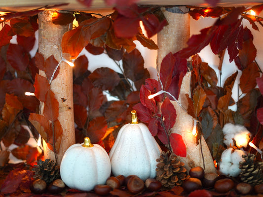 Herbstdekoration konservierte Buchenzweige