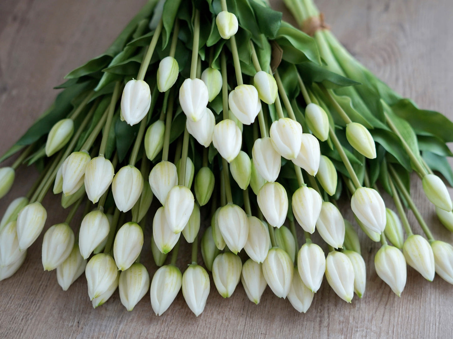 Detailaufnahme künstliche Tulpe creme weiß – täuschend echt und hochwertig verarbeitet