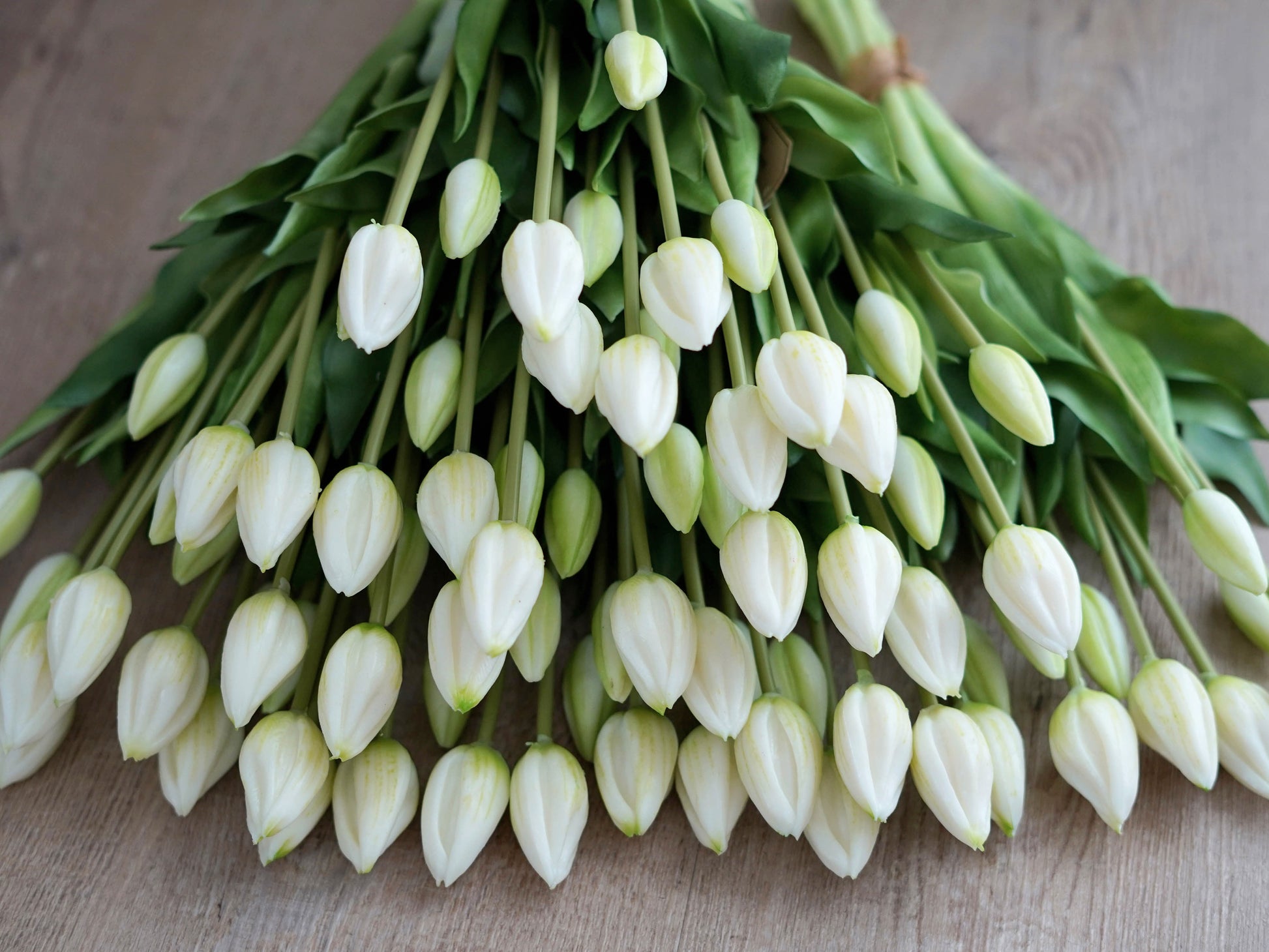 Detailaufnahme künstliche Tulpe creme weiß – täuschend echt und hochwertig verarbeitet