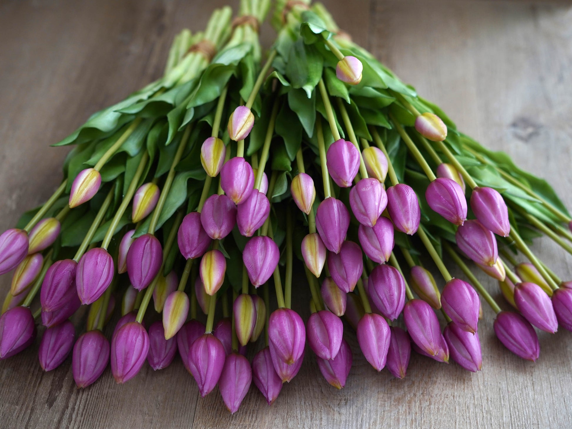 Detailaufnahme künstliche Tulpe lila – täuschend echt und hochwertig verarbeitet