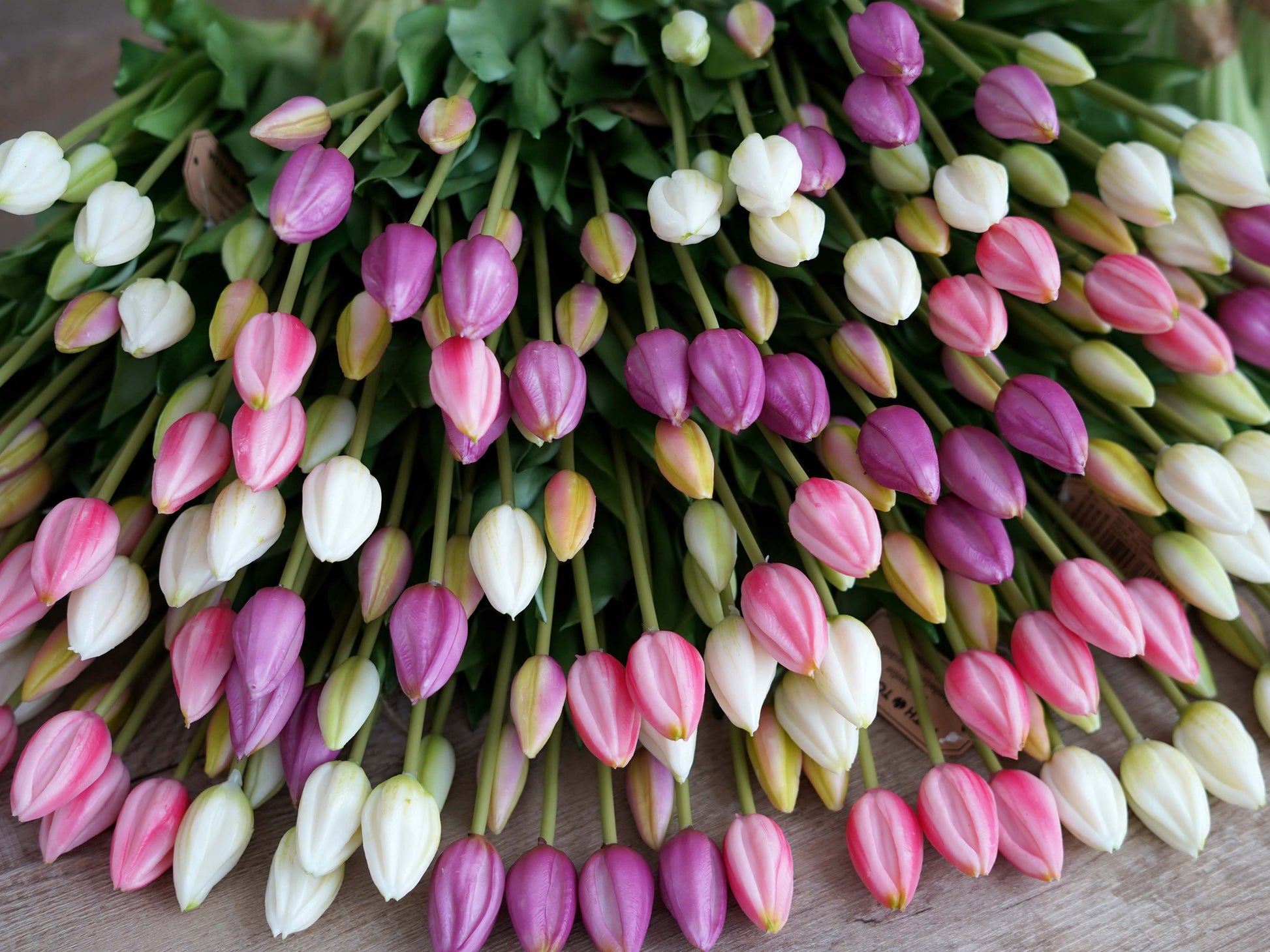 Detailansicht künstliche Tulpen im Set – realistische Kunstblumen in Frühlingsfarben